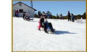 Катание на санях на Ай-Петри Санки